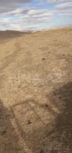 Продаётся  участок 63 362.2 сот, photo 8 from 22