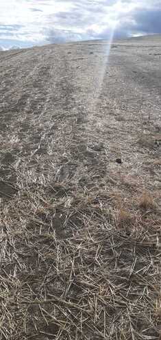 Продаётся  участок 63 362.2 сот, photo 20 from 22