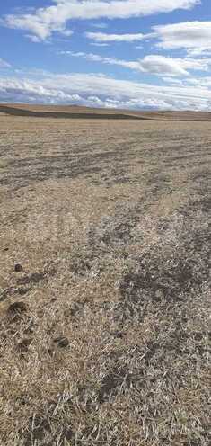 Продаётся  участок 63 362.2 сот, photo 13 from 22