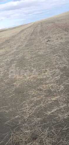 Продаётся  участок 63 362.2 сот, photo 18 from 22