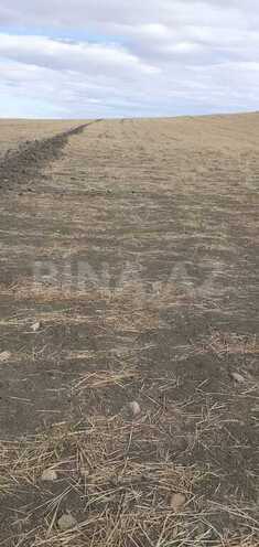 Продаётся  участок 63 362.2 сот, photo 12 from 22