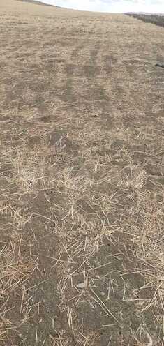 Продаётся  участок 63 362.2 сот, photo 16 from 22