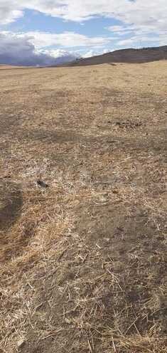 Продаётся  участок 63 362.2 сот, photo 19 from 22