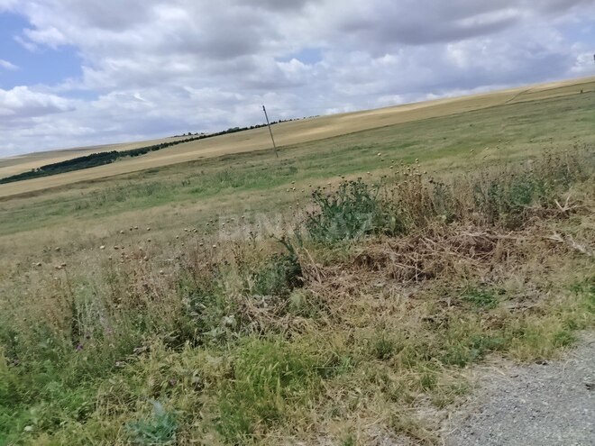 Продаётся  участок 63 362.2 сот, photo 5 from 22