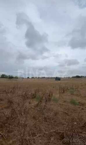 Продаётся  участок 548 сот, пос. Говсан, photo 6 from 7