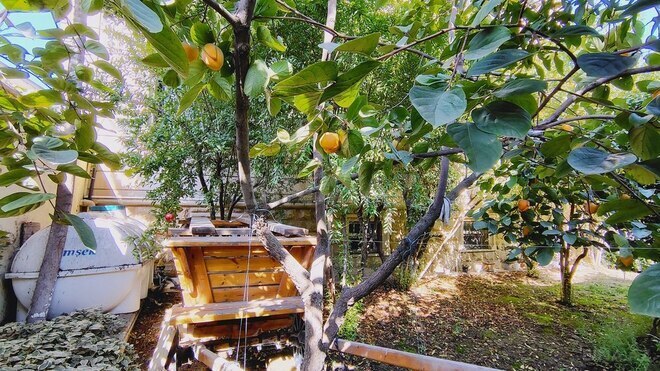 Сдаётся 6-комн. дом/дача 360 м², м. 20 января, photo 11 from 32