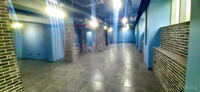 Сдаётся  объект 465 м², м. Низами, photo 25 from 26