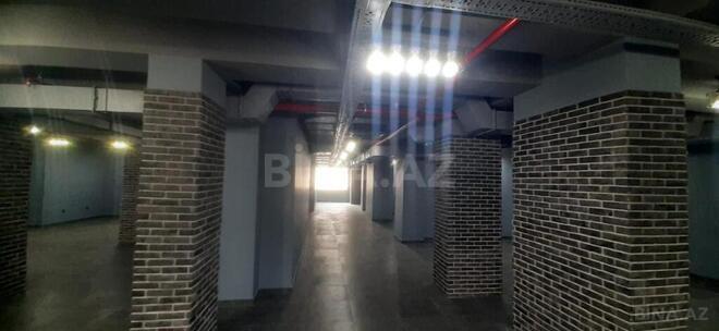 Сдаётся  объект 465 м², м. Низами, photo 4 from 26