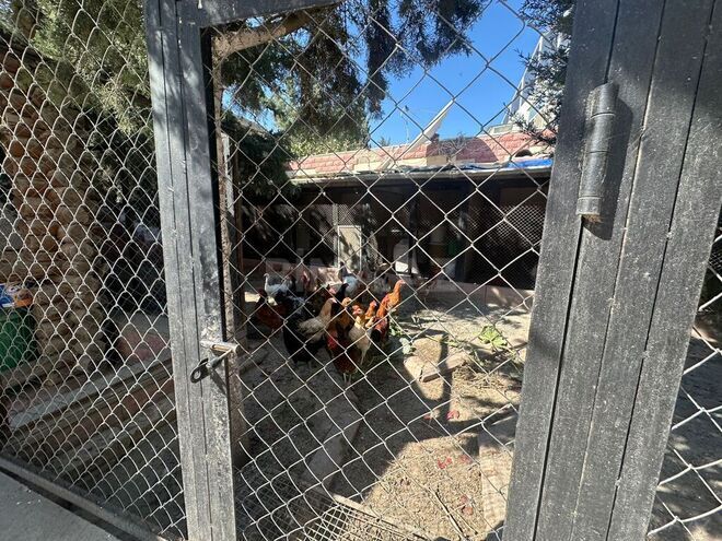 Продаётся 5-комн. дом/дача 190 м², пос. Мардакан, photo 22 from 30