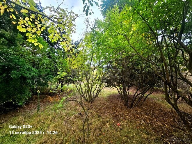 Satılır  torpaq 24 sot, Bilgəh q., photo 3 from 10