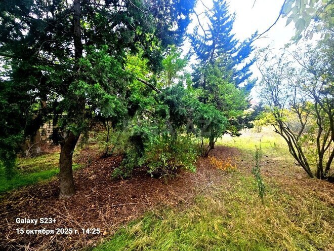 Satılır  torpaq 24 sot, Bilgəh q., photo 4 from 10