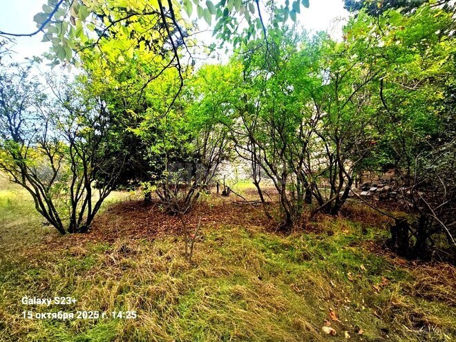 Satılır  torpaq 24 sot, Bilgəh q., photo 5 from 10