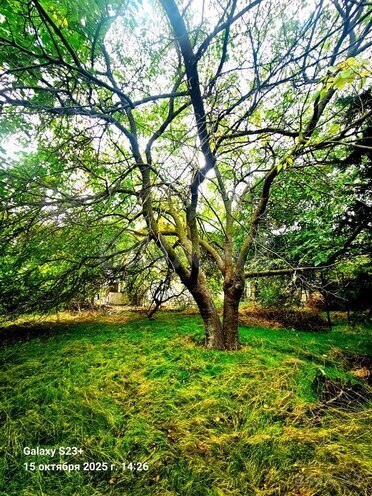 Satılır  torpaq 24 sot, Bilgəh q., photo 6 from 10