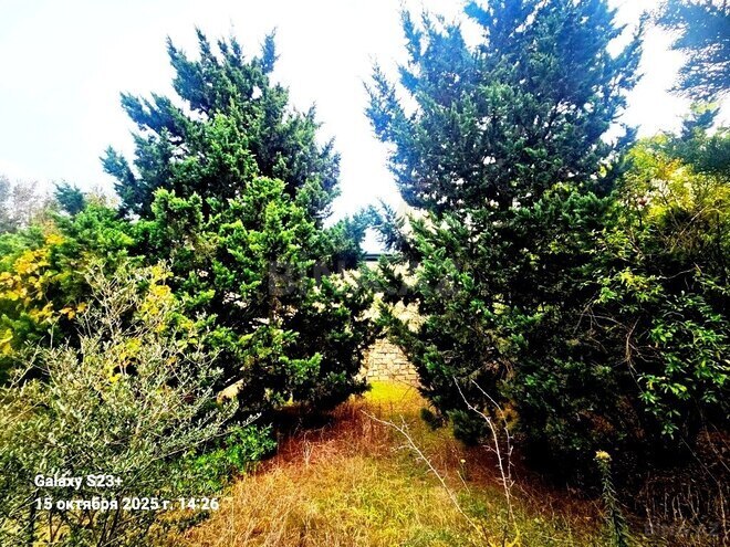 Satılır  torpaq 24 sot, Bilgəh q., photo 7 from 10