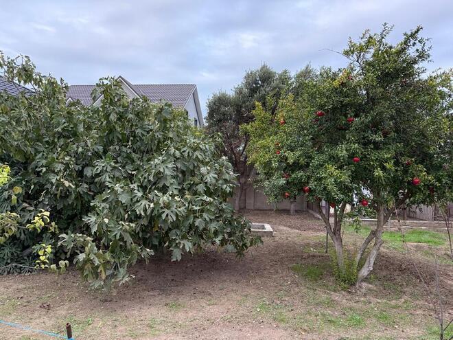 Satılır 6 otaqlı həyət evi/bağ evi 160 m², Mərdəkan q., photo 14 from 30