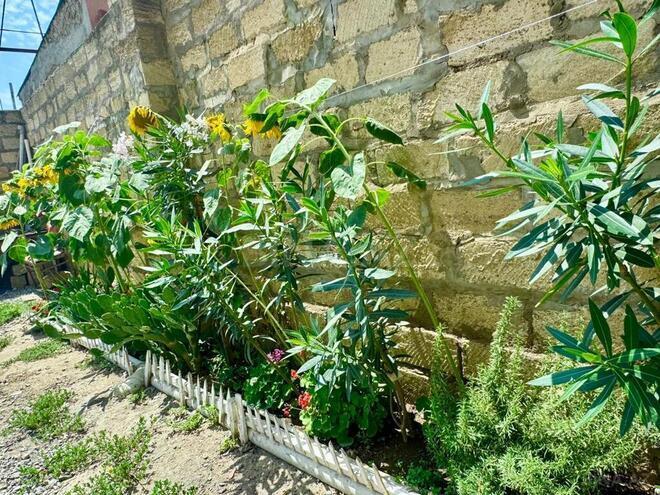 Продаётся 5-комн. дом/дача 200 м², пос. Ени Ясамал, photo 4 from 18