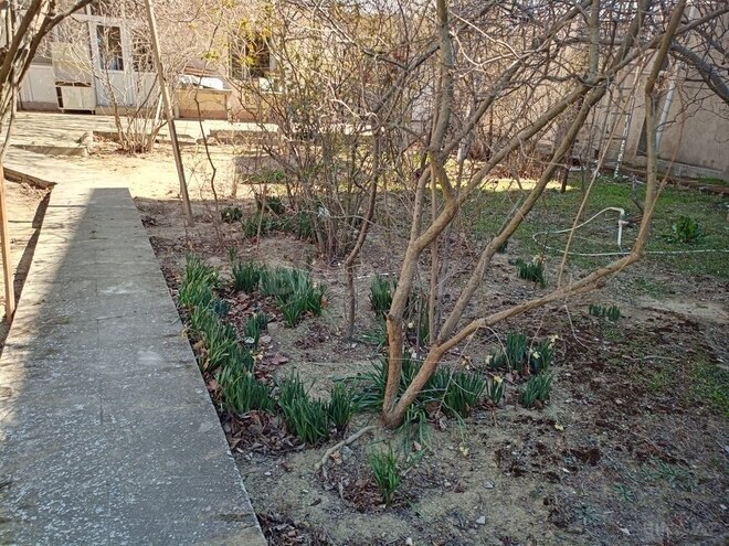 Продаётся  участок 11.5 сот, пос. Бадамдар, photo 8 from 9