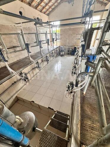 Satılır  obyekt 3 000 m², Xaçmaz r., photo 10 from 32