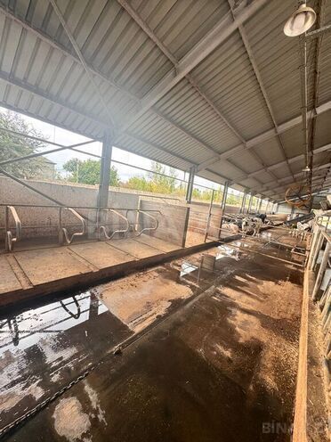 Satılır  obyekt 3 000 m², Xaçmaz r., photo 7 from 32