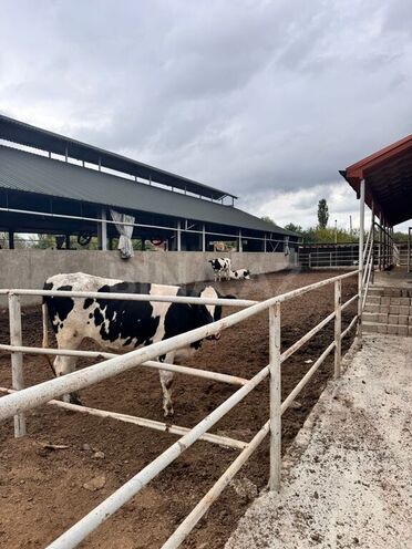 Satılır  obyekt 3 000 m², Xaçmaz r., photo 15 from 32