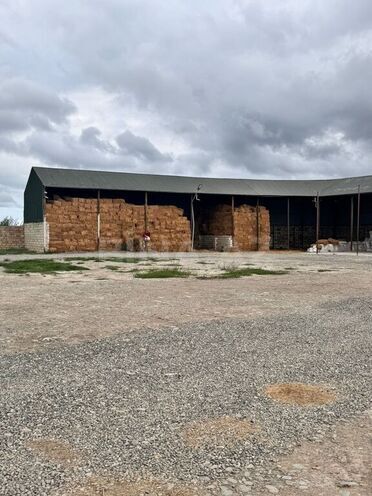 Satılır  obyekt 3 000 m², Xaçmaz r., photo 21 from 32