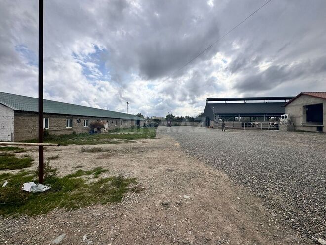 Satılır  obyekt 3 000 m², Xaçmaz r., photo 4 from 32
