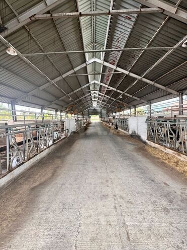 Satılır  obyekt 3 000 m², Xaçmaz r., photo 19 from 32