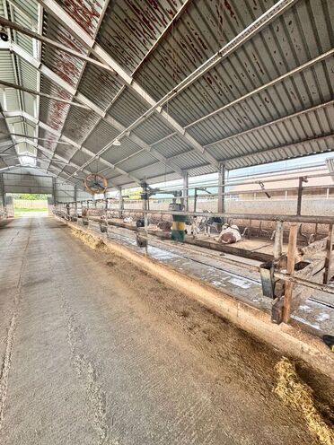 Satılır  obyekt 3 000 m², Xaçmaz r., photo 9 from 32