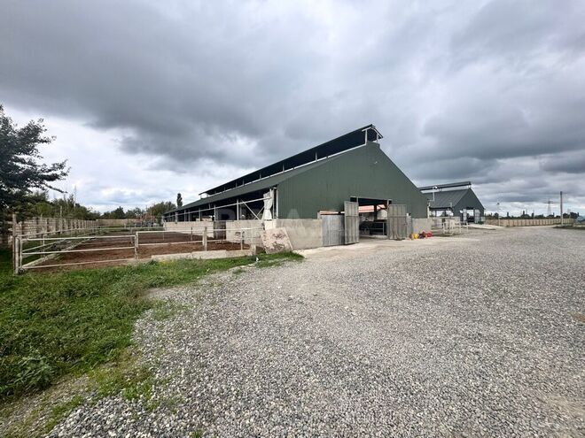 Satılır  obyekt 3 000 m², Xaçmaz r., photo 5 from 32