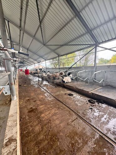 Satılır  obyekt 3 000 m², Xaçmaz r., photo 18 from 32