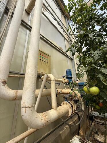 Продаётся  участок 290 сот, пос. Фатмаи, photo 10 from 15