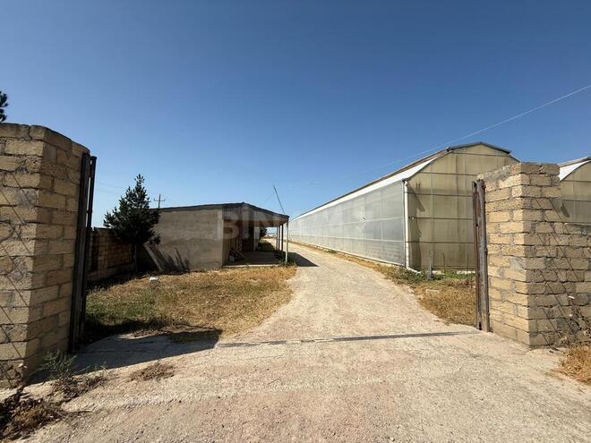 Продаётся  участок 290 сот, пос. Фатмаи, photo 6 from 15