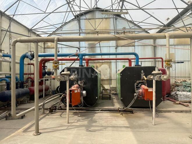 Продаётся  участок 290 сот, пос. Фатмаи, photo 12 from 15