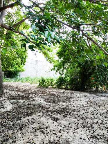 Продаётся  участок 15.3 сот, пос. Ахмедлы, photo 6 from 7