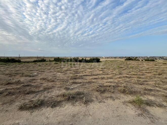 Satılır  torpaq 369 sot, Lökbatan q., photo 3 from 5