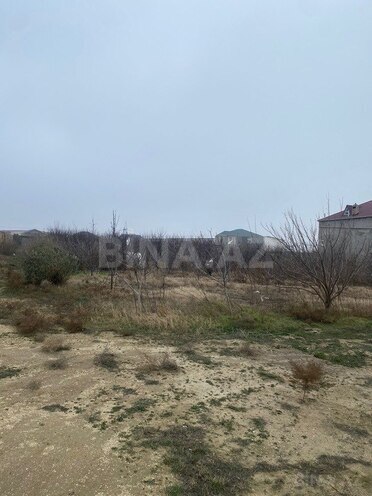 Продаётся  участок 50 сот, пос. Мехтиабад, photo 11 from 20