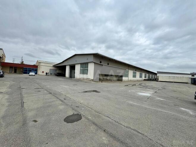 Сдаётся  объект 1 700 м², пос. Бинагади, photo 7 from 10