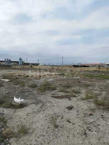 Satılır  torpaq 102 sot, photo 3 from 9