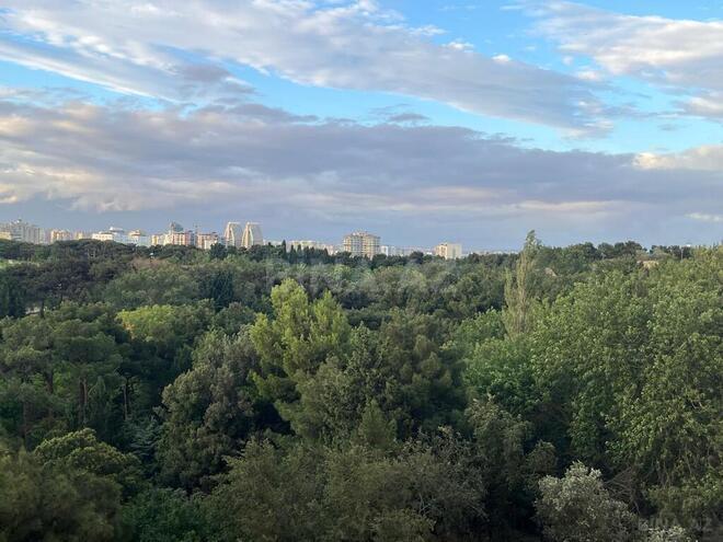 Продаётся 3-комн. новостройка 107 м², Сабаильский р., photo 21 from 23