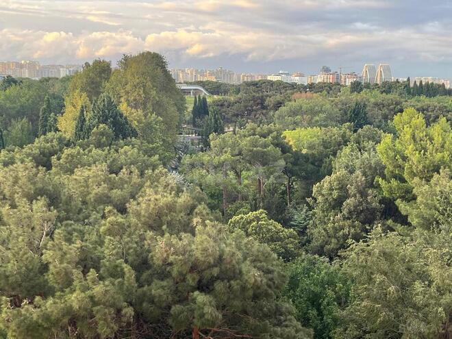 Продаётся 3-комн. новостройка 107 м², Сабаильский р., photo 22 from 23