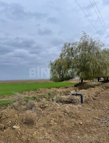 Продаётся  участок 16 000 сот, photo 7 from 10