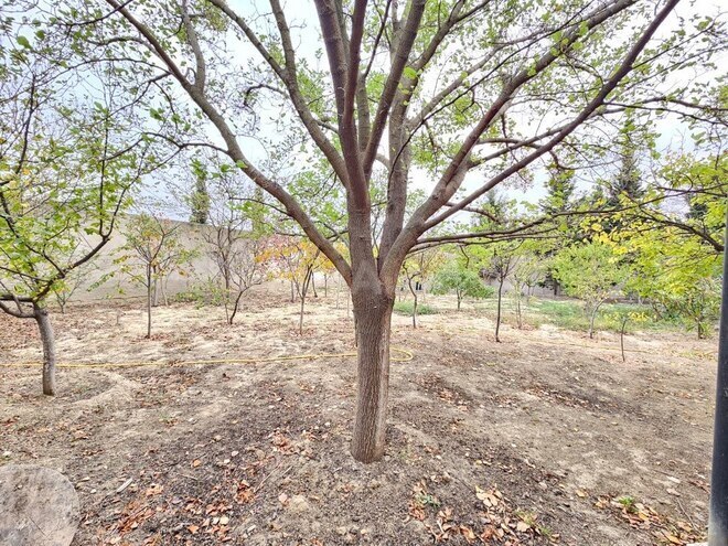 Satılır 5 otaqlı həyət evi/bağ evi 150 m², Novxanı q., photo 11 from 32