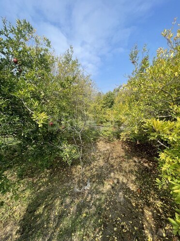 Продаётся 4-комн. дом/дача 110 м², пос. Бузовна, photo 15 from 21