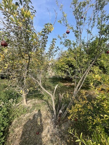 Продаётся 4-комн. дом/дача 110 м², пос. Бузовна, photo 16 from 21