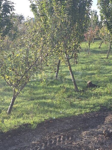 Satılır  torpaq 4 sot, photo 5 from 8