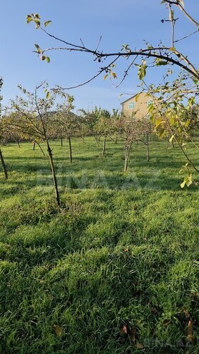 Satılır  torpaq 4 sot, photo 3 from 8