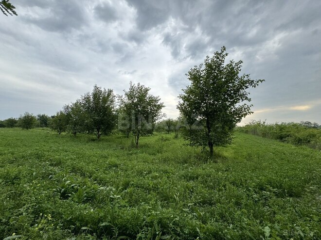 Satılır  torpaq 210 sot, photo 6 from 9