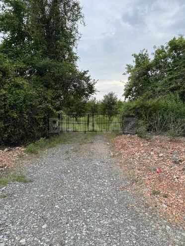 Satılır  torpaq 210 sot, photo 3 from 9