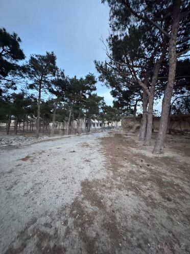 Продаётся  участок 144 сот, пос. Мардакан, photo 3 from 11