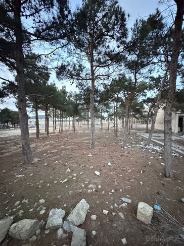 Продаётся  участок 144 сот, пос. Мардакан, photo 10 from 11